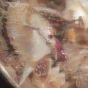 ヒメ日記 2025/08/13 21:35 投稿 ねこ【品性溢れるドM美女】 STELLA TOKYO－ステラトウキョウ－