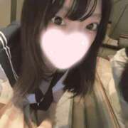 ヒメ日記 2025/08/14 21:43 投稿 ねこ【品性溢れるドM美女】 STELLA TOKYO－ステラトウキョウ－