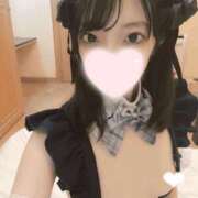 ヒメ日記 2025/08/15 02:12 投稿 ねこ【品性溢れるドM美女】 STELLA TOKYO－ステラトウキョウ－