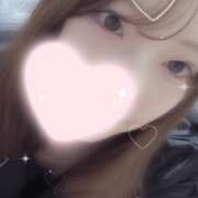 ヒメ日記 2025/08/17 13:35 投稿 ねこ【品性溢れるドM美女】 STELLA TOKYO－ステラトウキョウ－