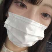 ヒメ日記 2025/08/18 16:04 投稿 ねこ【品性溢れるドM美女】 STELLA TOKYO－ステラトウキョウ－