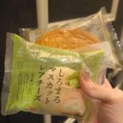 ヒメ日記 2025/08/28 03:44 投稿 ねこ【品性溢れるドM美女】 STELLA TOKYO－ステラトウキョウ－