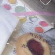 ヒメ日記 2025/08/29 03:02 投稿 ねこ【品性溢れるドM美女】 STELLA TOKYO－ステラトウキョウ－