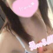 ヒメ日記 2025/09/01 13:49 投稿 ねこ【品性溢れるドM美女】 STELLA TOKYO－ステラトウキョウ－