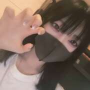 ヒメ日記 2025/09/05 16:47 投稿 ねこ【品性溢れるドM美女】 STELLA TOKYO－ステラトウキョウ－