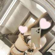 ヒメ日記 2025/09/10 01:48 投稿 ねこ【品性溢れるドM美女】 STELLA TOKYO－ステラトウキョウ－