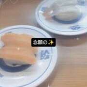 ヒメ日記 2025/09/13 15:08 投稿 ねこ【品性溢れるドM美女】 STELLA TOKYO－ステラトウキョウ－