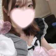ヒメ日記 2025/09/14 01:32 投稿 ねこ【品性溢れるドM美女】 STELLA TOKYO－ステラトウキョウ－