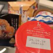 ヒメ日記 2025/09/15 01:04 投稿 ねこ【品性溢れるドM美女】 STELLA TOKYO－ステラトウキョウ－