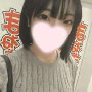 ヒメ日記 2025/09/29 14:32 投稿 ねこ【品性溢れるドM美女】 STELLA TOKYO－ステラトウキョウ－