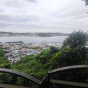 ヒメ日記 2025/10/08 13:36 投稿 ねこ【品性溢れるドM美女】 STELLA TOKYO－ステラトウキョウ－