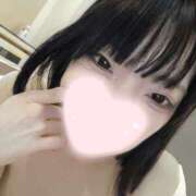 ヒメ日記 2025/10/15 19:05 投稿 ねこ【品性溢れるドM美女】 STELLA TOKYO－ステラトウキョウ－