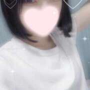 ヒメ日記 2025/10/22 19:03 投稿 ねこ【品性溢れるドM美女】 STELLA TOKYO－ステラトウキョウ－