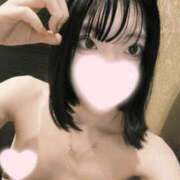 ヒメ日記 2025/10/31 14:49 投稿 ねこ【品性溢れるドM美女】 STELLA TOKYO－ステラトウキョウ－