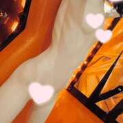 ヒメ日記 2025/11/14 17:07 投稿 ねこ【品性溢れるドM美女】 STELLA TOKYO－ステラトウキョウ－