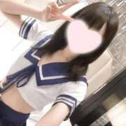 ヒメ日記 2025/11/15 21:02 投稿 ねこ【品性溢れるドM美女】 STELLA TOKYO－ステラトウキョウ－