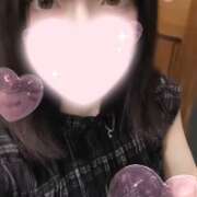 ヒメ日記 2025/11/20 14:48 投稿 ねこ【品性溢れるドM美女】 STELLA TOKYO-ステラトウキョウ-