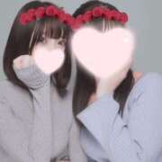 ヒメ日記 2025/11/26 19:05 投稿 ねこ【品性溢れるドM美女】 STELLA TOKYO－ステラトウキョウ－