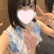 ヒメ日記 2025/11/29 21:09 投稿 ねこ【品性溢れるドM美女】 STELLA TOKYO－ステラトウキョウ－