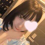 ヒメ日記 2025/11/30 21:09 投稿 ねこ【品性溢れるドM美女】 STELLA TOKYO－ステラトウキョウ－