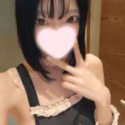 ヒメ日記 2025/12/03 12:08 投稿 ねこ【品性溢れるドM美女】 STELLA TOKYO－ステラトウキョウ－