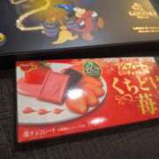 ねこ【品性溢れるドM美女】 ありがと😭 STELLA TOKYO－ステラトウキョウ－