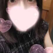 ヒメ日記 2025/12/11 12:50 投稿 ねこ【品性溢れるドM美女】 STELLA TOKYO-ステラトウキョウ-