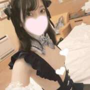 ヒメ日記 2025/12/13 21:12 投稿 ねこ【品性溢れるドM美女】 STELLA TOKYO－ステラトウキョウ－