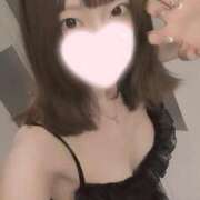 ヒメ日記 2025/12/14 21:10 投稿 ねこ【品性溢れるドM美女】 STELLA TOKYO－ステラトウキョウ－