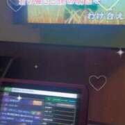 ヒメ日記 2025/12/23 01:25 投稿 ねこ【品性溢れるドM美女】 STELLA TOKYO－ステラトウキョウ－