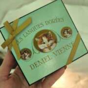 ねこ【品性溢れるドM美女】 ありがと🙇 STELLA TOKYO－ステラトウキョウ－