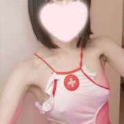 ヒメ日記 2026/01/23 03:55 投稿 ねこ【品性溢れるドM美女】 STELLA TOKYO－ステラトウキョウ－