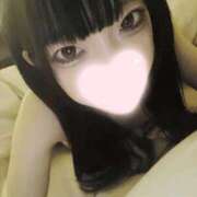 ヒメ日記 2026/01/29 17:09 投稿 ねこ【品性溢れるドM美女】 STELLA TOKYO－ステラトウキョウ－