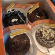 ヒメ日記 2026/01/31 03:30 投稿 ねこ【品性溢れるドM美女】 STELLA TOKYO－ステラトウキョウ－