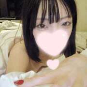 ヒメ日記 2026/02/01 17:40 投稿 ねこ【品性溢れるドM美女】 STELLA TOKYO－ステラトウキョウ－