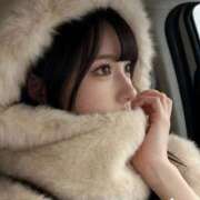 ヒメ日記 2026/02/10 18:46 投稿 ねこ【品性溢れるドM美女】 STELLA TOKYO－ステラトウキョウ－