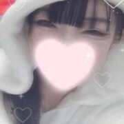 ヒメ日記 2026/02/11 13:16 投稿 ねこ【品性溢れるドM美女】 STELLA TOKYO－ステラトウキョウ－