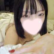 ヒメ日記 2026/02/11 16:36 投稿 ねこ【品性溢れるドM美女】 STELLA TOKYO－ステラトウキョウ－