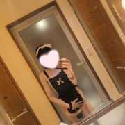 ヒメ日記 2026/02/11 21:44 投稿 ねこ【品性溢れるドM美女】 STELLA TOKYO－ステラトウキョウ－