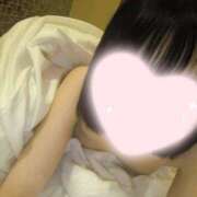 ヒメ日記 2026/02/14 11:33 投稿 ねこ【品性溢れるドM美女】 STELLA TOKYO－ステラトウキョウ－