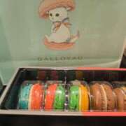 ヒメ日記 2026/02/18 02:17 投稿 ねこ【品性溢れるドM美女】 STELLA TOKYO－ステラトウキョウ－