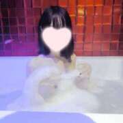 ヒメ日記 2026/02/25 18:10 投稿 ねこ【品性溢れるドM美女】 STELLA TOKYO－ステラトウキョウ－