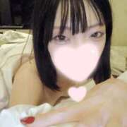 ねこ【品性溢れるドM美女】 実は…🌀 STELLA TOKYO－ステラトウキョウ－