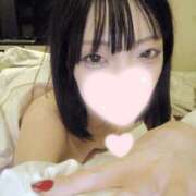 ヒメ日記 2026/03/18 11:37 投稿 ねこ【品性溢れるドM美女】 STELLA TOKYO－ステラトウキョウ－