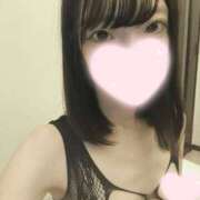 ヒメ日記 2026/03/28 12:26 投稿 ねこ【品性溢れるドM美女】 STELLA TOKYO－ステラトウキョウ－