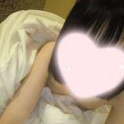 ヒメ日記 2026/04/03 18:24 投稿 ねこ【品性溢れるドM美女】 STELLA TOKYO－ステラトウキョウ－