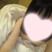 ヒメ日記 2026/04/14 16:15 投稿 ねこ【品性溢れるドM美女】 STELLA TOKYO－ステラトウキョウ－