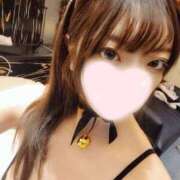 ヒメ日記 2026/04/15 18:15 投稿 ねこ【品性溢れるドM美女】 STELLA TOKYO－ステラトウキョウ－