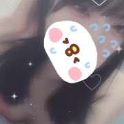 ヒメ日記 2026/05/06 18:41 投稿 ねこ【品性溢れるドM美女】 STELLA TOKYO－ステラトウキョウ－