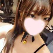 ヒメ日記 2026/05/08 21:53 投稿 ねこ【品性溢れるドM美女】 STELLA TOKYO－ステラトウキョウ－